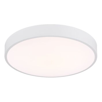 Globo lighting Nielsen ceiling light LED white, 1-light source