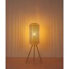 Globo lighting Denton floor lamp cream, 1-light source