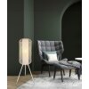 Globo lighting Denton floor lamp cream, 1-light source