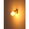 Globo lighting Trent chrome, sand-coloured, 1-light source
