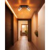 Globo lighting Alonso ceiling light black, 2-light sources