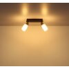 Globo lighting Villegas ceiling light black, 2-light sources