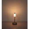 Globo lighting Skyler table lamp LED matt nickel, 1-light source