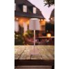 Globo lighting Vancouver table lamp LED pink, 1-light source