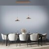 Paul Neuhaus lights Moon pendant light LED bronze, 4-light sources