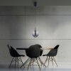 Paul Neuhaus lights Infinity pendant light LED grey, 1-light source, Remote control