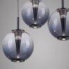 Paul Neuhaus lights E-Infinity pendant light LED grey, 10-light sources, Remote control