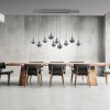 Paul Neuhaus lights E-Infinity pendant light LED grey, 10-light sources, Remote control
