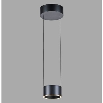 Paul Neuhaus lights Clipse pendant light LED grey, 2-light sources, Remote control