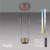 Paul Neuhaus lights Clipse pendant light LED bronze, 2-light sources, Remote control