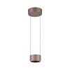 Paul Neuhaus lights Clipse pendant light LED bronze, 2-light sources, Remote control