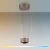 Paul Neuhaus lights Clipse pendant light LED bronze, 2-light sources, Remote control