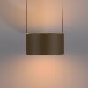 Paul Neuhaus lights Clipse pendant light LED bronze, 2-light sources, Remote control