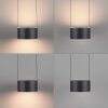 Paul Neuhaus lights Clipse pendant light LED grey, 6-light sources, Remote control