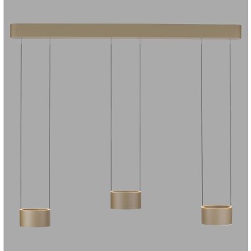 Paul Neuhaus lights Clipse pendant light LED bronze, 6-light sources, Remote control