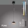 Paul Neuhaus lights Rings pendant light LED black, transparent, clear, 1-light source, Remote control