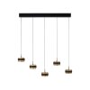 Paul Neuhaus lights Rings pendant light LED black, transparent, clear, 5-light sources, Remote control