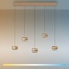 Paul Neuhaus lights Rings pendant light LED bronze, chrome, 5-light sources, Remote control