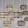Paul Neuhaus lights Rings pendant light LED bronze, chrome, 5-light sources, Remote control