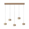 Paul Neuhaus lights Rings pendant light LED bronze, chrome, 5-light sources, Remote control