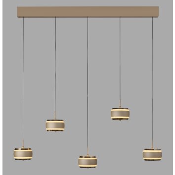 Paul Neuhaus lights Rings pendant light LED bronze, chrome, 5-light sources, Remote control