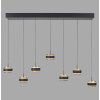 Paul Neuhaus lights Rings pendant light LED black, transparent, clear, 7-light sources, Remote control