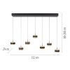 Paul Neuhaus lights Rings pendant light LED black, transparent, clear, 7-light sources, Remote control