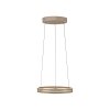 Paul Neuhaus lights E-Loop pendant light LED bronze, 2-light sources, Remote control