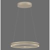 Paul Neuhaus lights E-Loop pendant light LED bronze, 2-light sources, Remote control