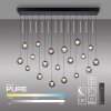 Paul Neuhaus lights Popup pendant light LED grey, 19-light sources, Remote control