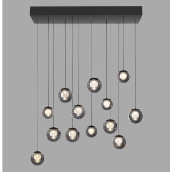 Paul Neuhaus lights Popup pendant light LED grey, 13-light sources, Remote control