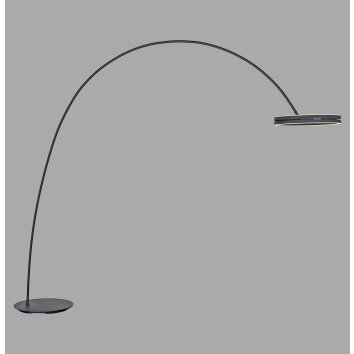 Paul Neuhaus lights Loop-Bow floor lamp LED black, 2-light sources