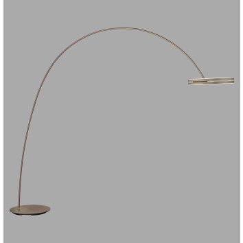 Paul Neuhaus lights Loop-Bow floor lamp LED bronze, 2-light sources