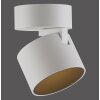Paul Neuhaus lights Cup ceiling light LED white, 1-light source