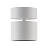 Paul Neuhaus lights Cup ceiling light LED white, 1-light source