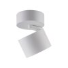 Paul Neuhaus lights Cup ceiling light LED white, 1-light source