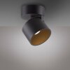 Paul Neuhaus lights Cup ceiling light LED black, 1-light source