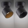 Paul Neuhaus lights Cup ceiling light LED black, 1-light source