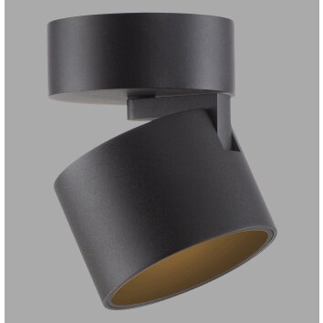 Paul Neuhaus lights Cup ceiling light LED black, 1-light source