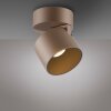 Paul Neuhaus lights Cup ceiling light LED bronze, 1-light source