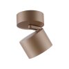 Paul Neuhaus lights Cup ceiling light LED bronze, 1-light source