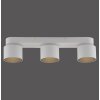 Paul Neuhaus lights Cup ceiling light LED white, 3-light sources