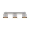 Paul Neuhaus lights Cup ceiling light LED white, 3-light sources