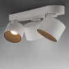 Paul Neuhaus lights Cup ceiling light LED white, 3-light sources