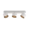 Paul Neuhaus lights Cup ceiling light LED white, 3-light sources