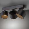 Paul Neuhaus lights Cup ceiling light LED black, 3-light sources