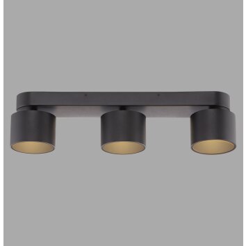 Paul Neuhaus lights Cup ceiling light LED black, 3-light sources