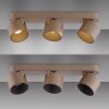 Paul Neuhaus lights Cup ceiling light LED bronze, 3-light sources