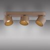 Paul Neuhaus lights Cup ceiling light LED bronze, 3-light sources