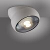 Paul Neuhaus lights Move ceiling light LED white, 1-light source